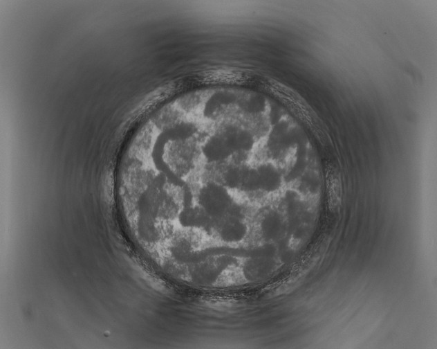 X0000111250729200907301326