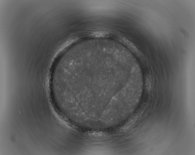 X0000111250730200907301326