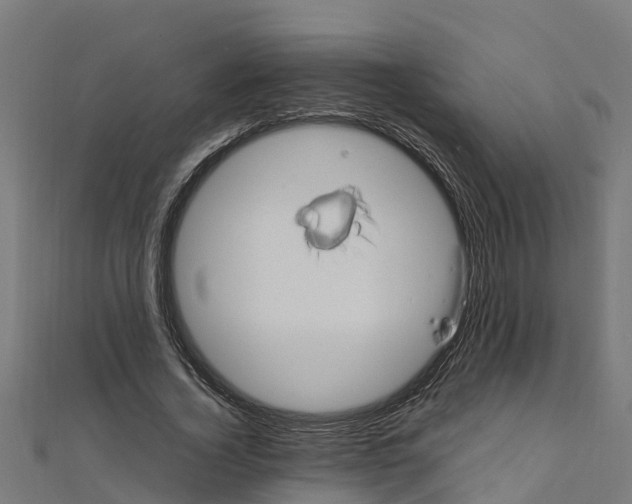 X0000111250732200907301326