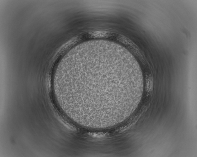 X0000111250733200907301326