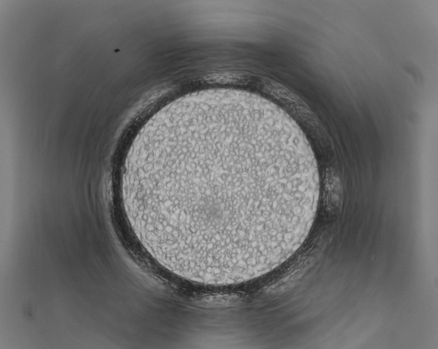 X0000111250734200907301326