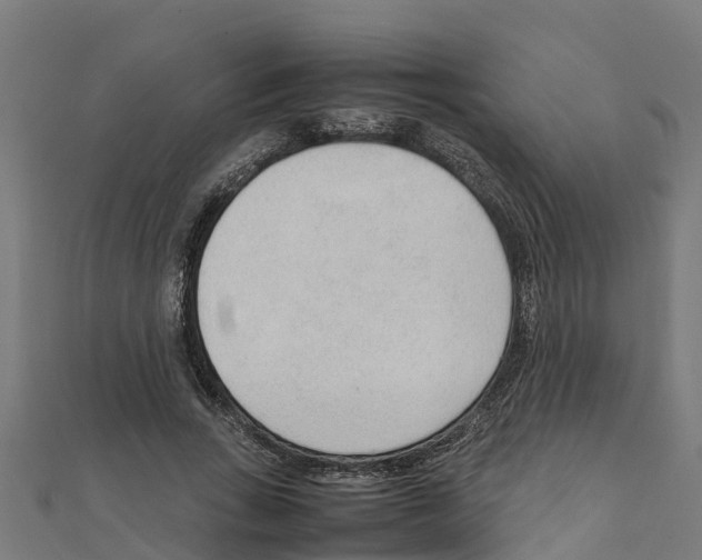 X0000111250735200907301326