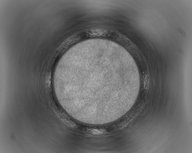 X0000111250737200907301326