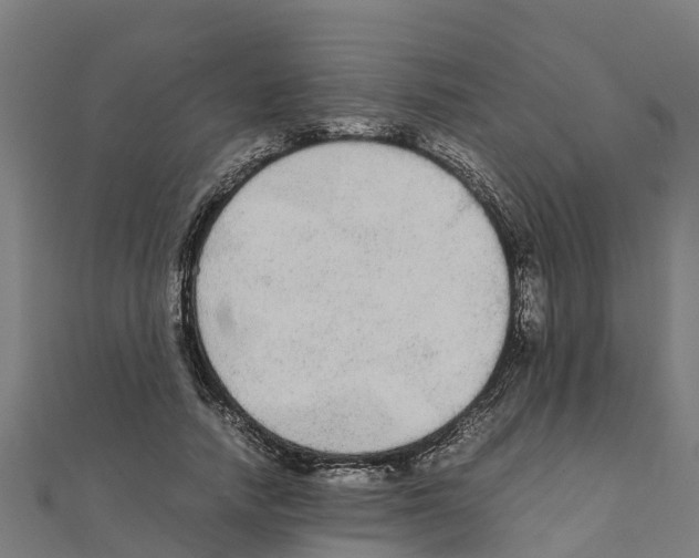 X0000111250738200907301326