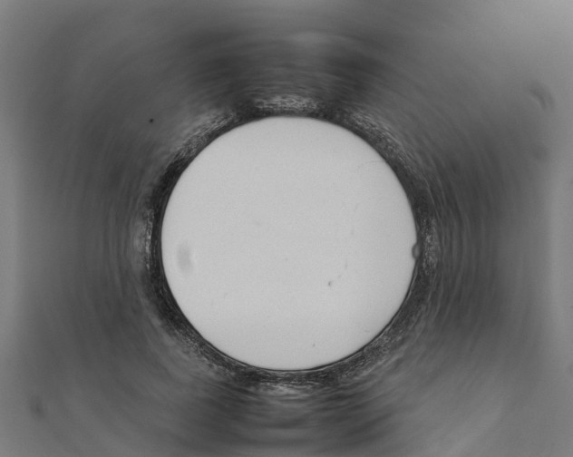 X0000111250739200907301326