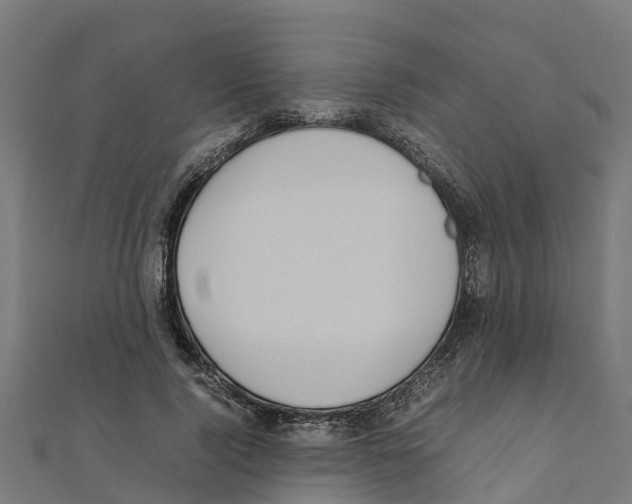 X0000111250740200907301326