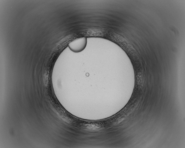 X0000111250741200907301326