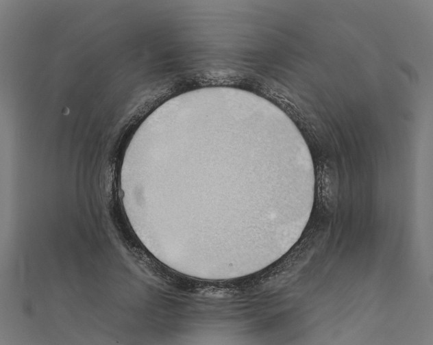 X0000111250742200907301326