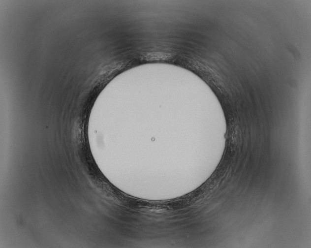 X0000111250743200907301326