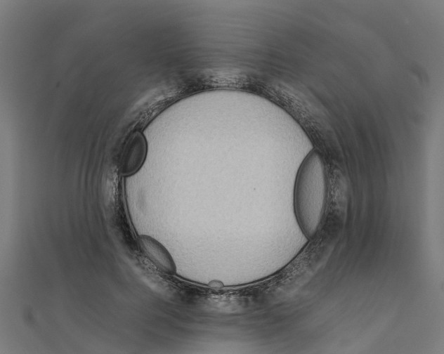 X0000111250744200907301326