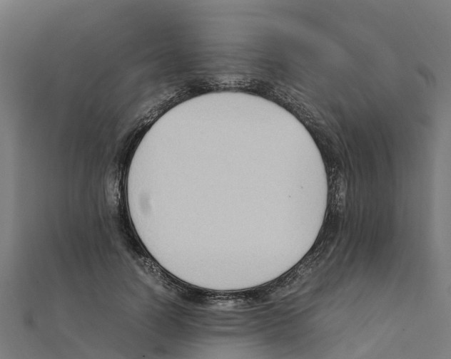 X0000111250746200907301326