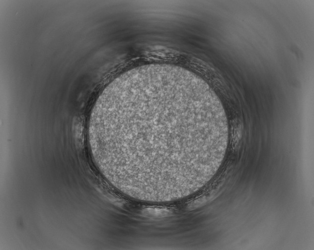 X0000111250749200907301326