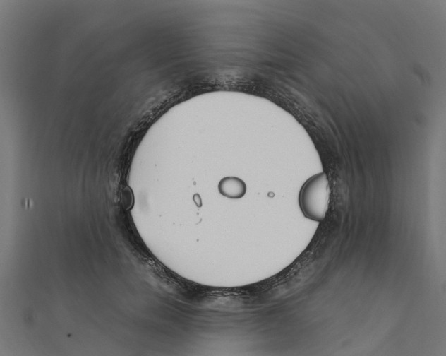 X0000111250750200907301326