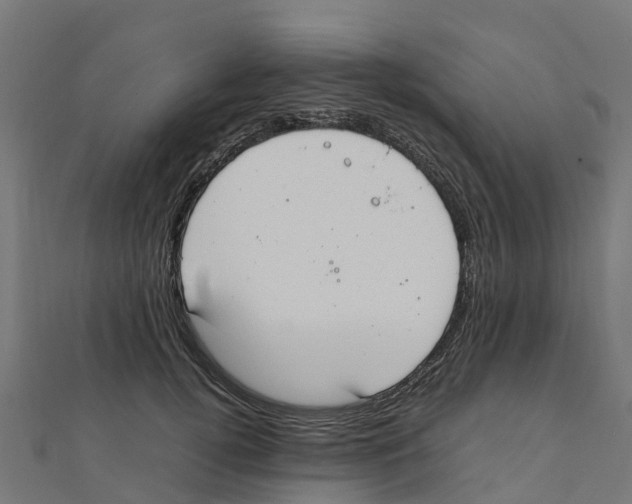 X0000111250752200907301326