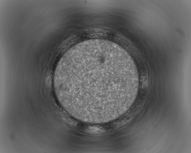 X0000111250753200907301326