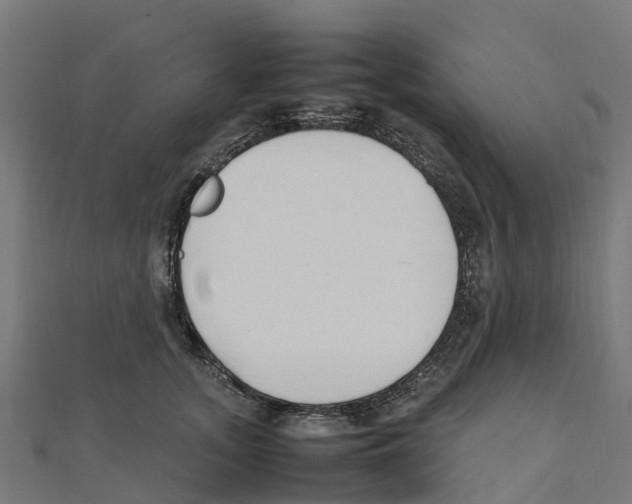 X0000111250755200907301326