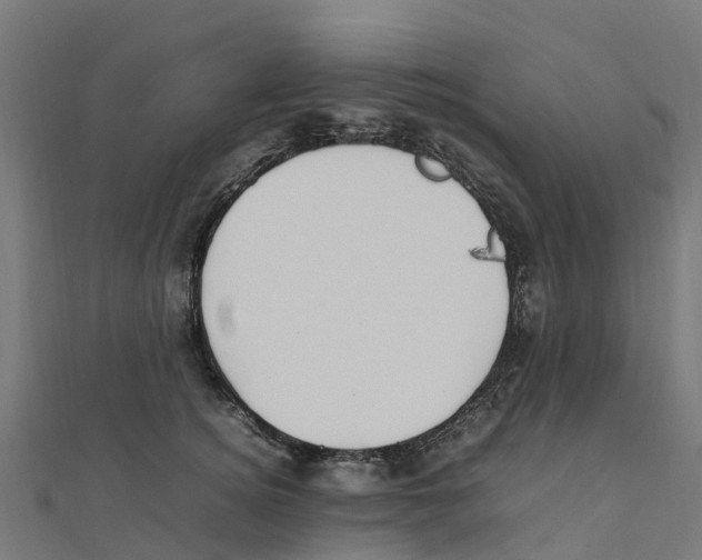 X0000111250756200907301326