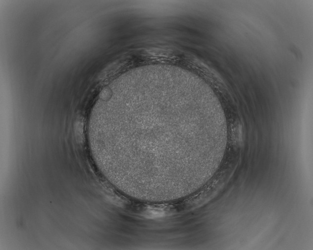 X0000111250757200907301327