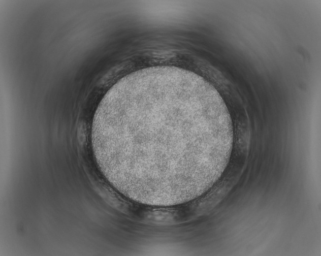 X0000111250758200907301327