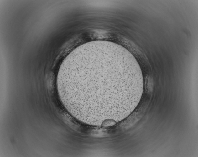 X0000111250760200907301327