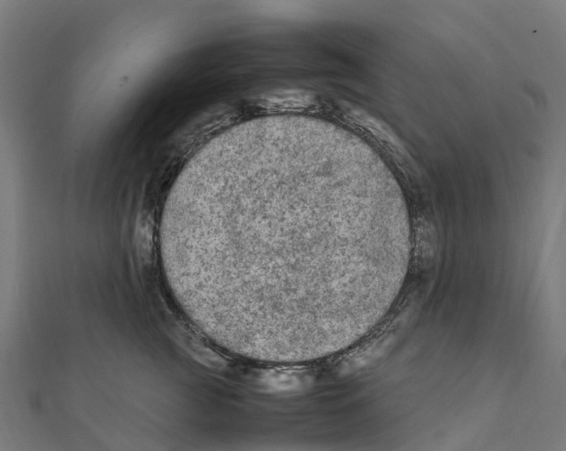 X0000111250761200907301327