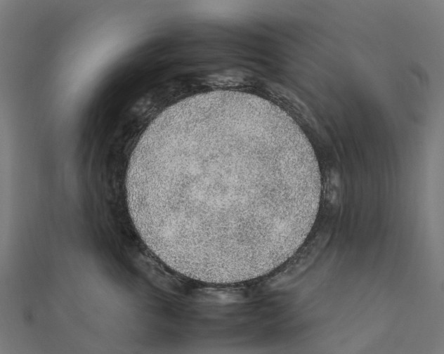 X0000111250763200907301327