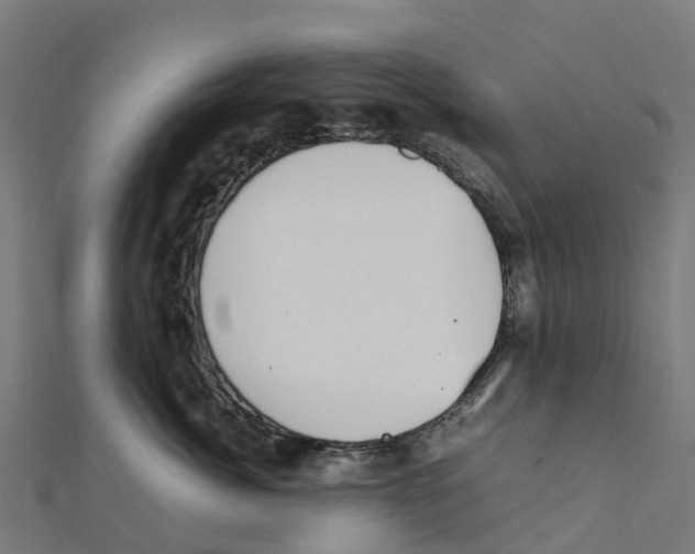 X0000111250764200907301327