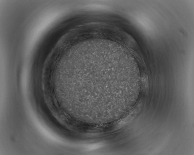 X0000111250765200907301327