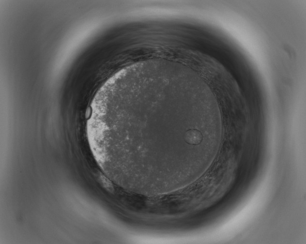 X0000111250766200907301327