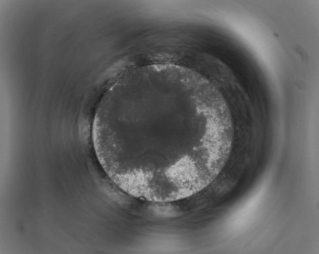 X0000111250767200907301327