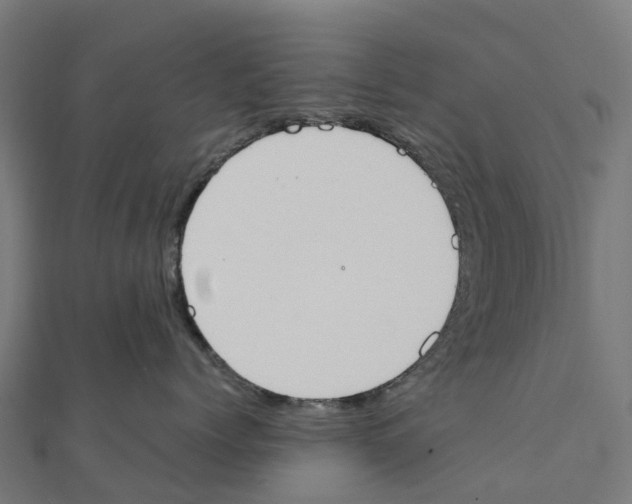 X0000111250768200907301327