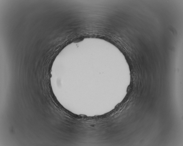 X0000111250769200907301326