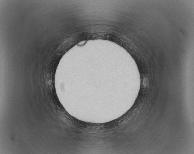 X0000111250771200907301326