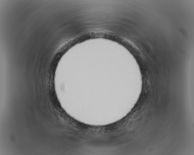 X0000111250775200907301326