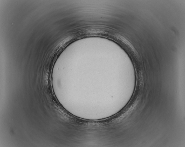 X0000111250777200907301326