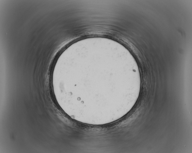 X0000111250779200907301326