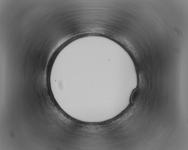 X0000111250780200907301326