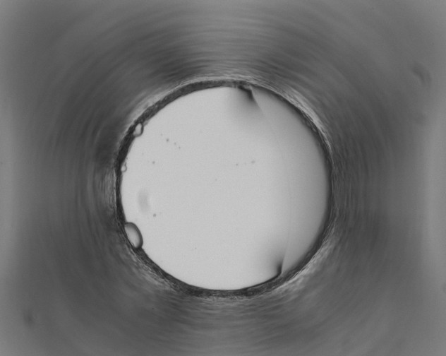 X0000111250781200907301326