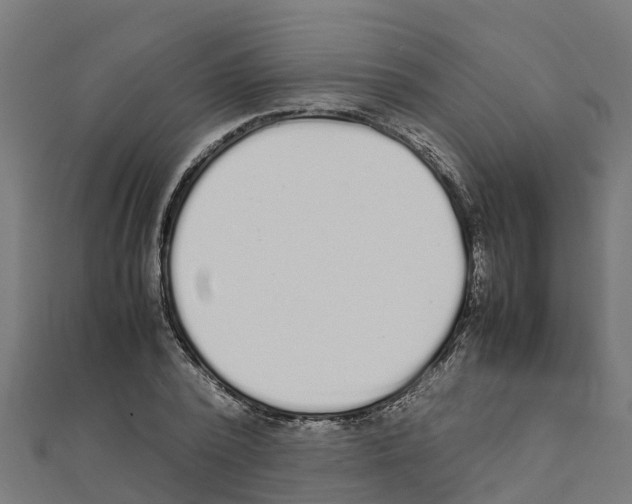 X0000111250784200907301326