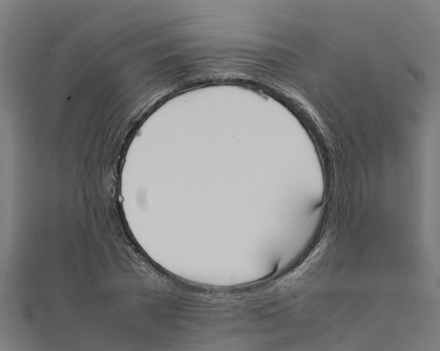 X0000111250785200907301326