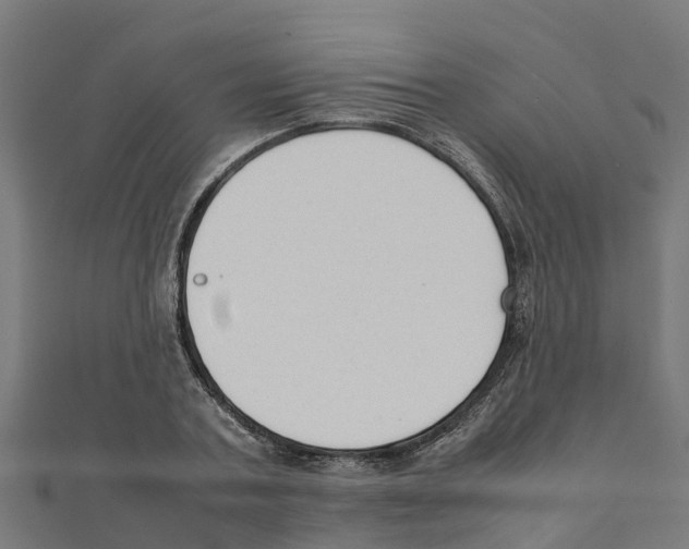 X0000111250787200907301326