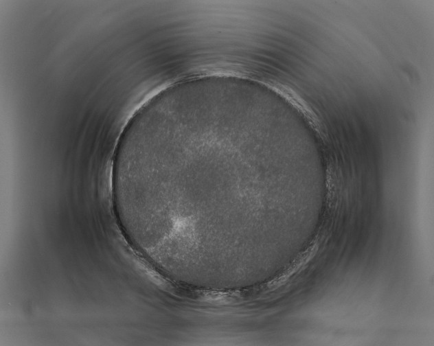 X0000111250790200907301326