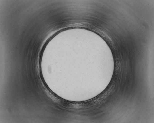 X0000111250792200907301326