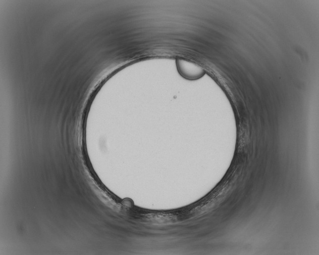 X0000111250795200907301326