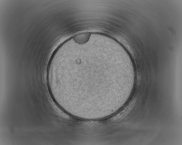 X0000111250797200907301326