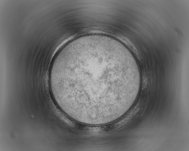 X0000111250798200907301326