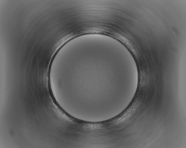 X0000111250802200907301326