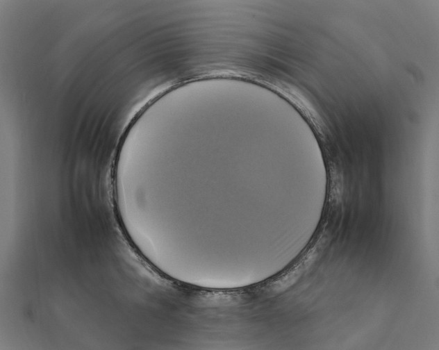 X0000111250806200907301325