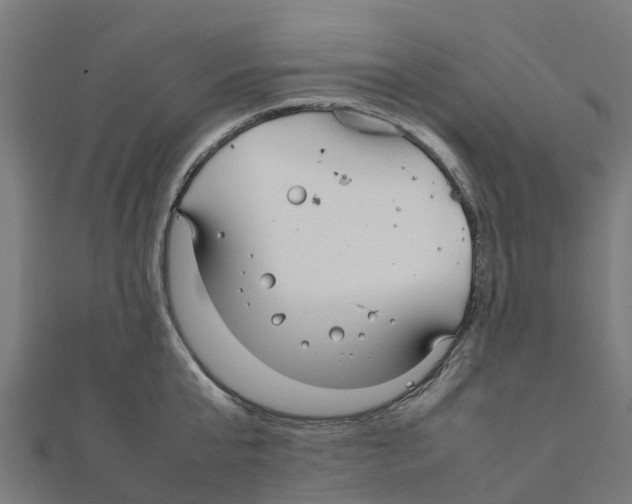 X0000111250807200907301325