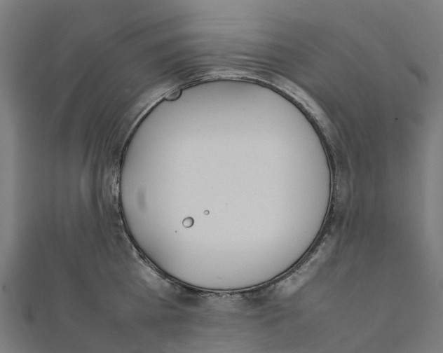 X0000111250809200907301325